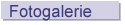 Fotogalerie